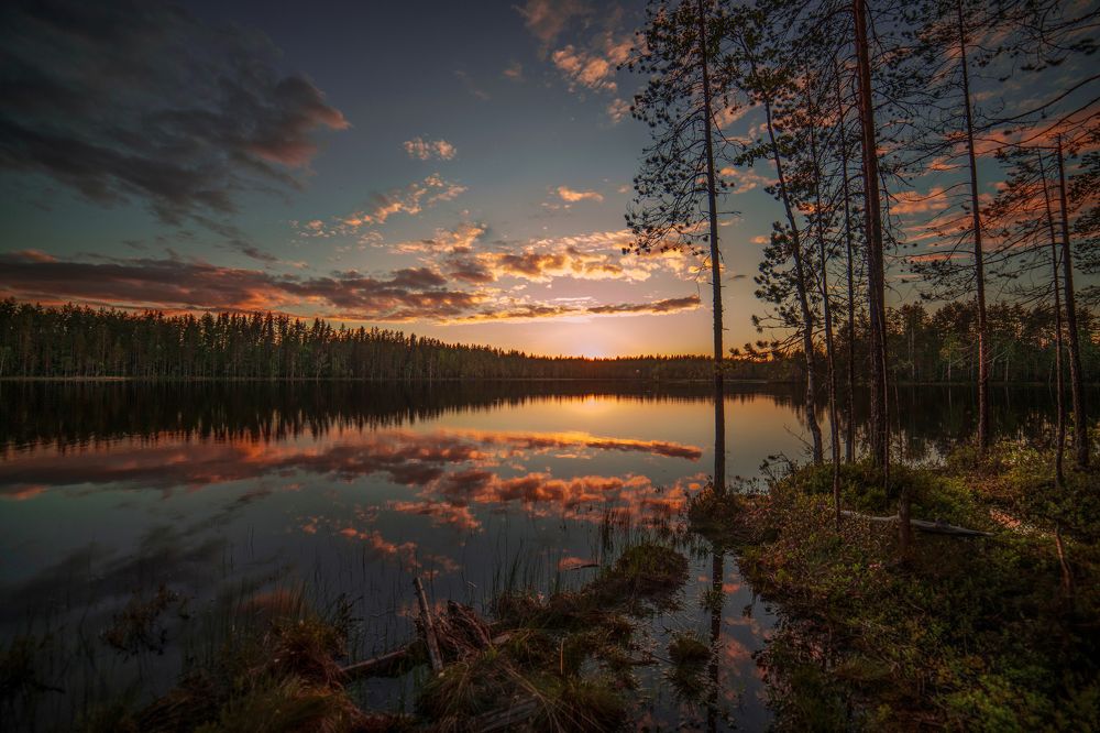 Photograph by Третьякова Анастасия