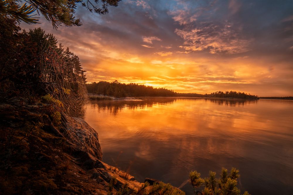 Photograph by Третьякова Анастасия