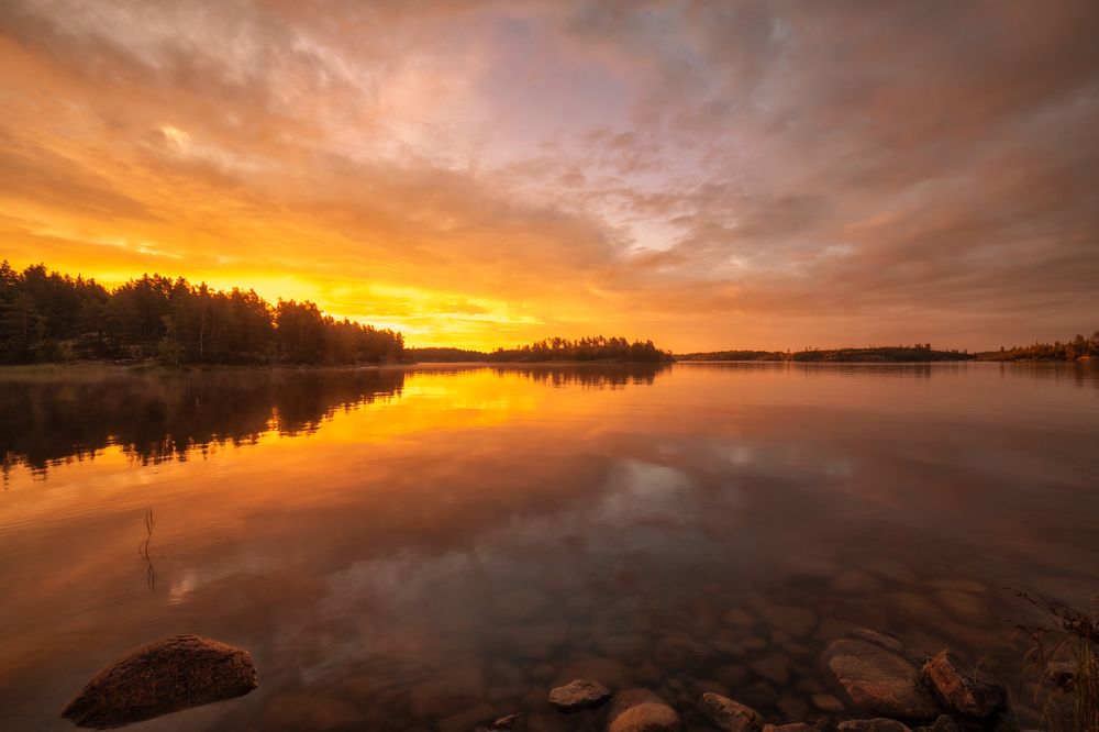 Photograph by Третьякова Анастасия