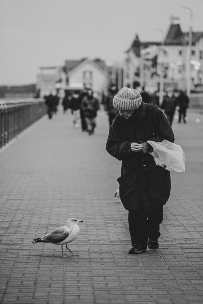 Photograph by Dmitrii Zabuga