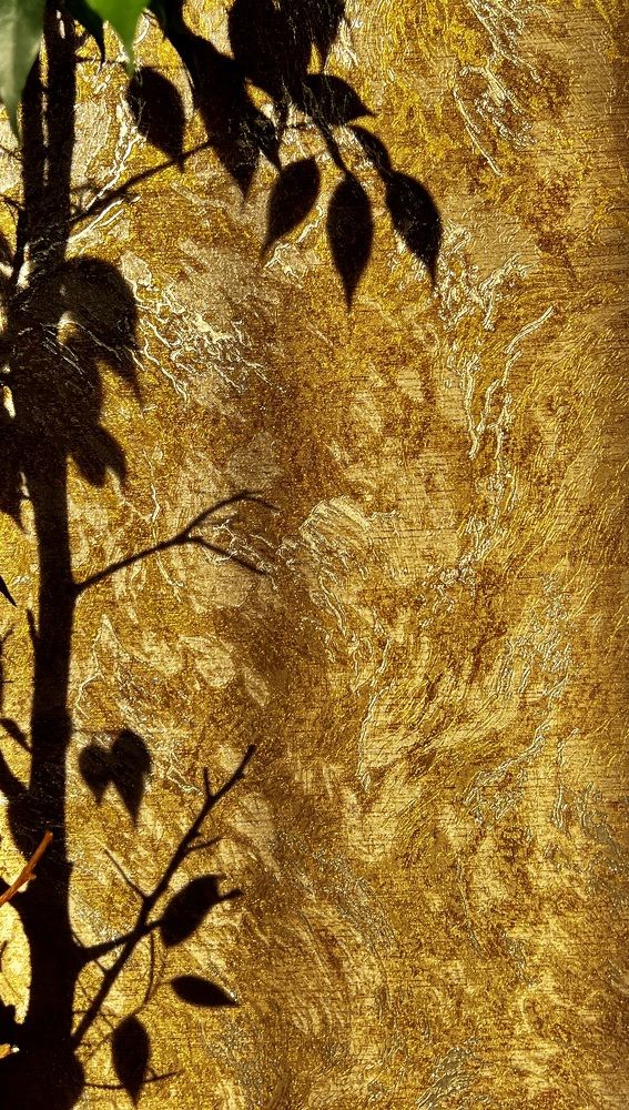 Photograph by Елена Мизина