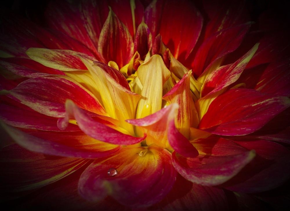 Фотография автора Татьяна Добровольская