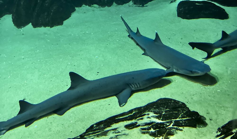 Photograph by Елена Мизина