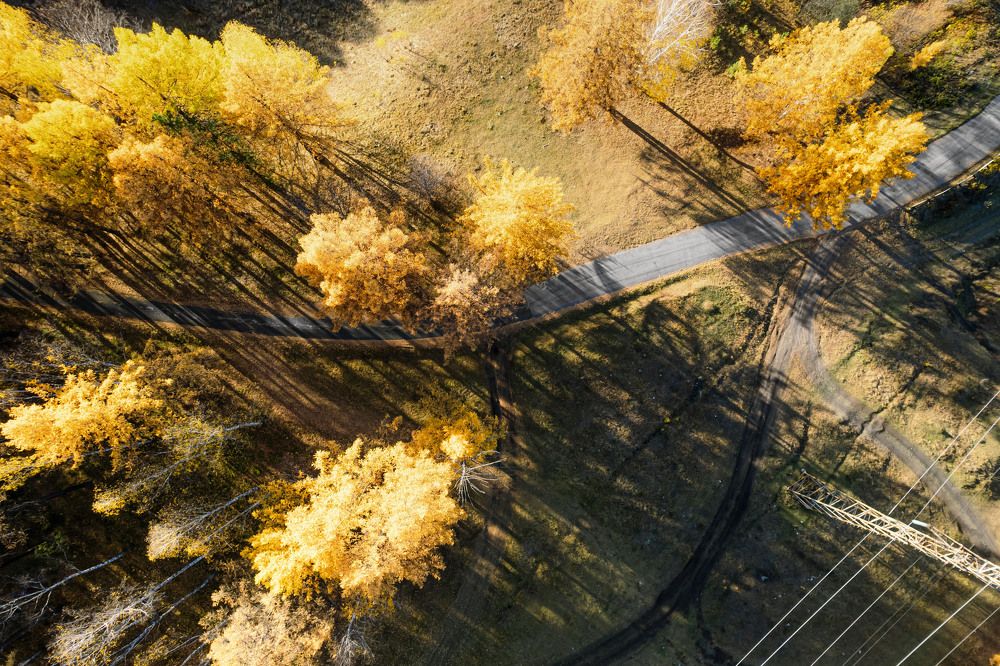 Photograph by Денис