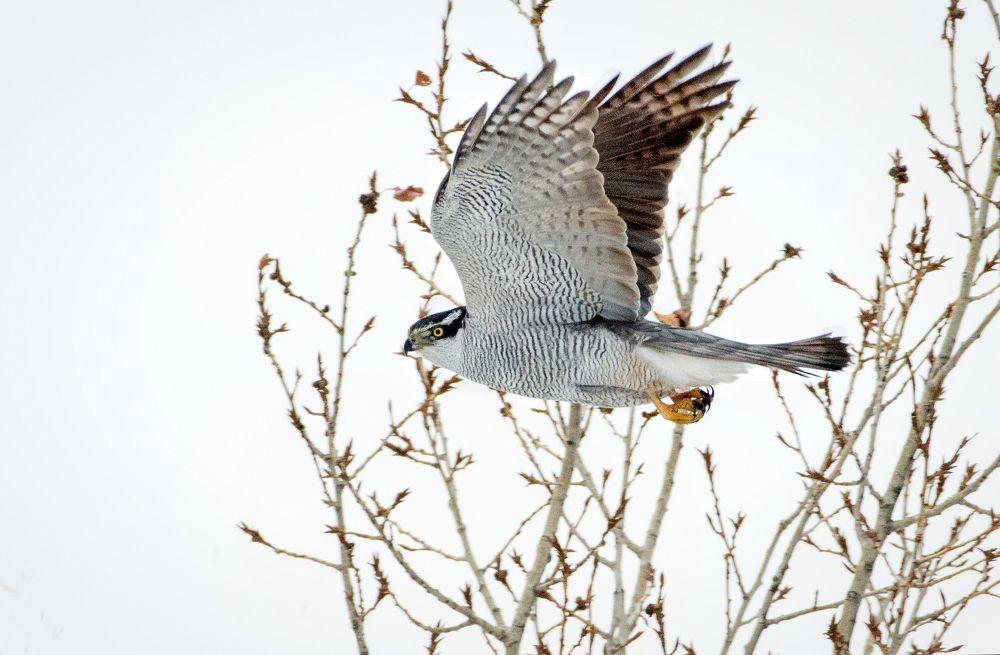 Photograph by Александр Перегудов