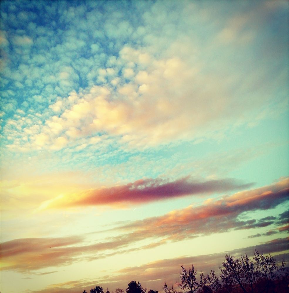 Photograph by Vesna Petkoska