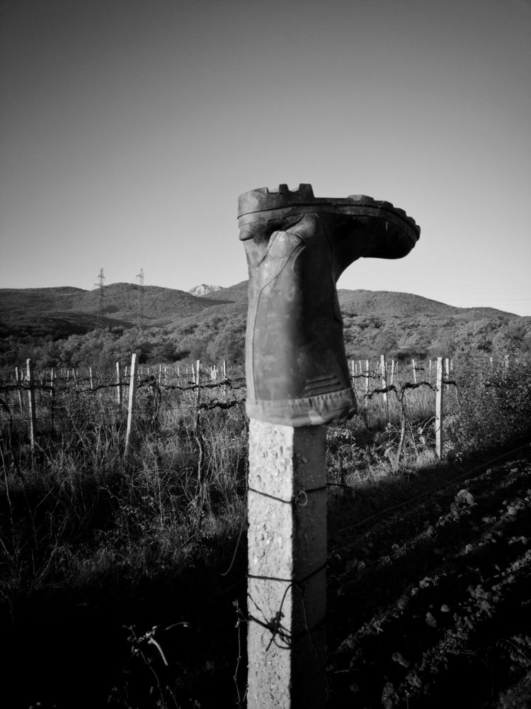 Photograph by Артём