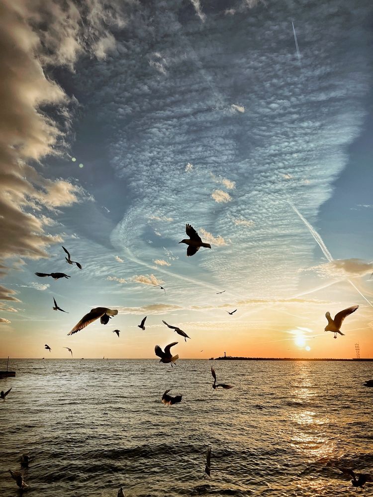 Photograph by Ирина Дерда