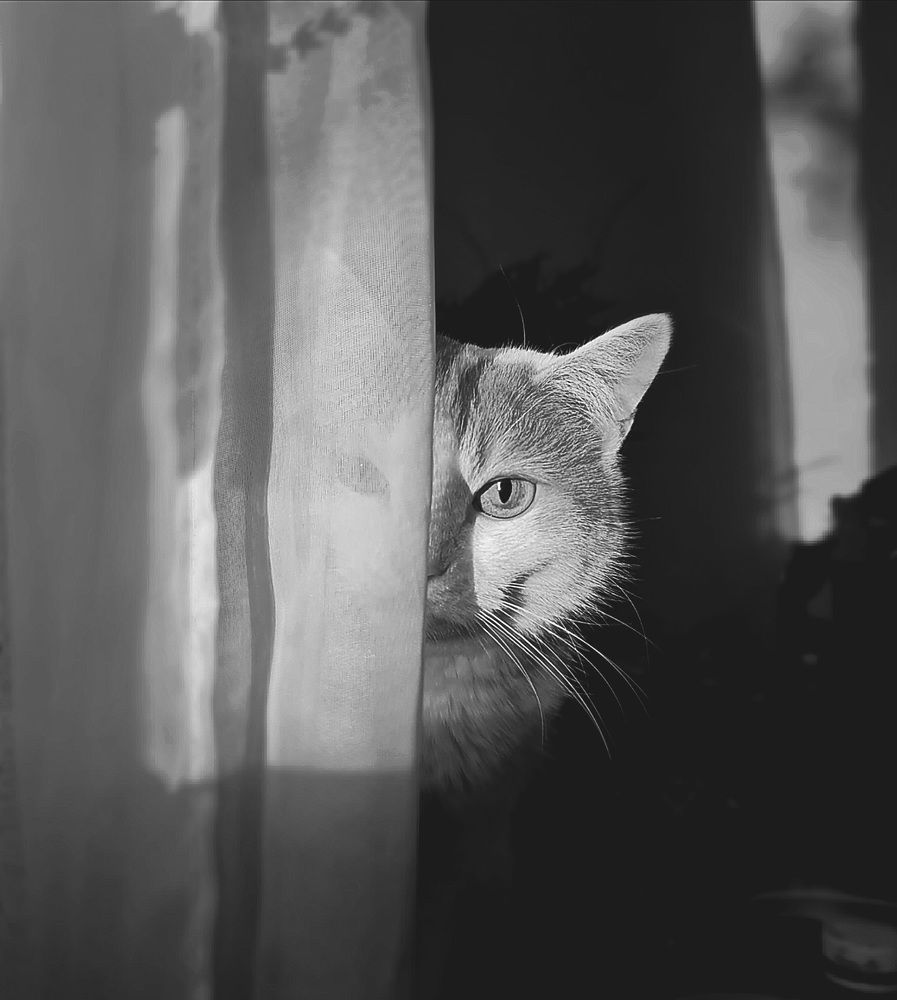 Наблюдаю за тобой