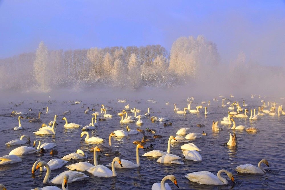 Photograph by Александр