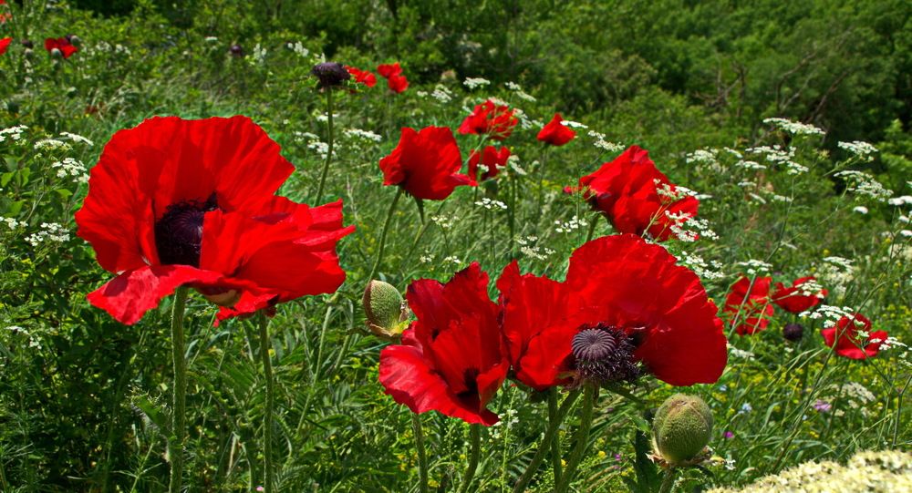 Photograph by Александр