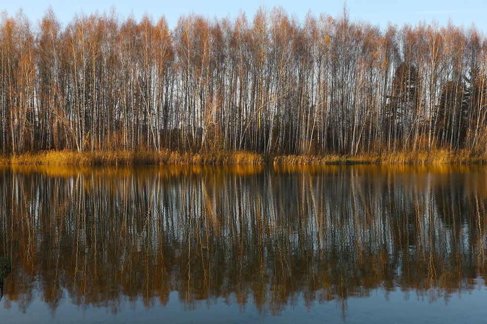 Photograph by Сергей Фомченков