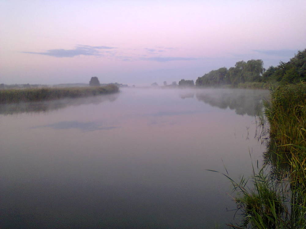 Photograph by галина довгаленко