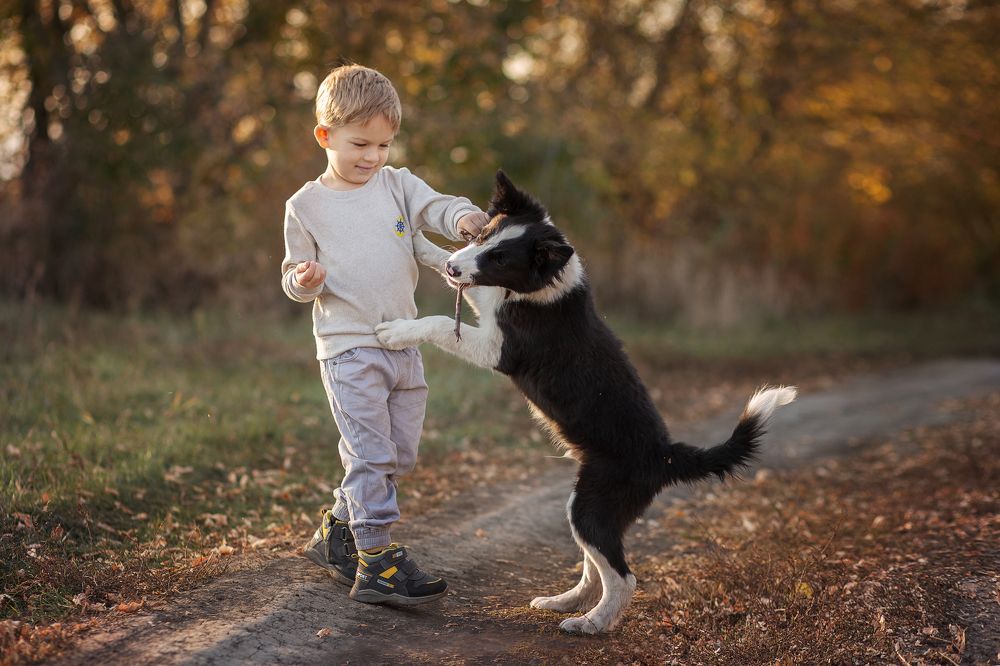 Photograph by Надежда Щёболева