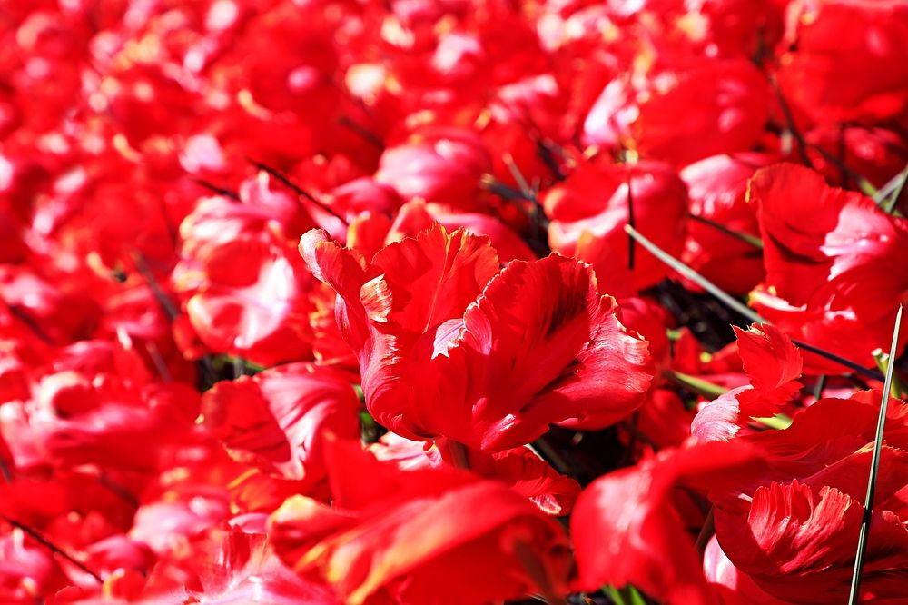 Фотография автора Evgeny Gorbunov