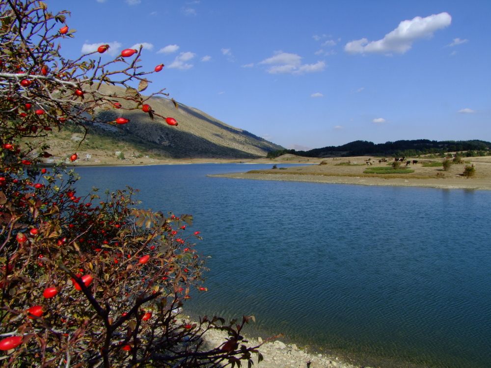 Photograph by Cengiz Yalcin