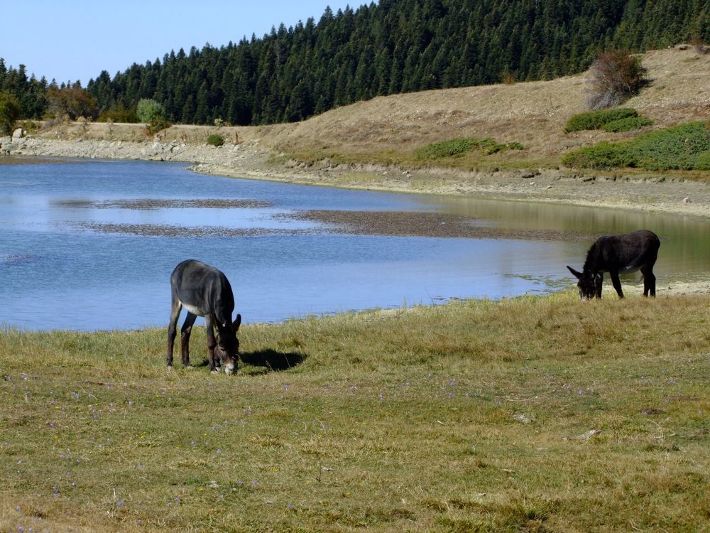 Photograph by Cengiz Yalcin