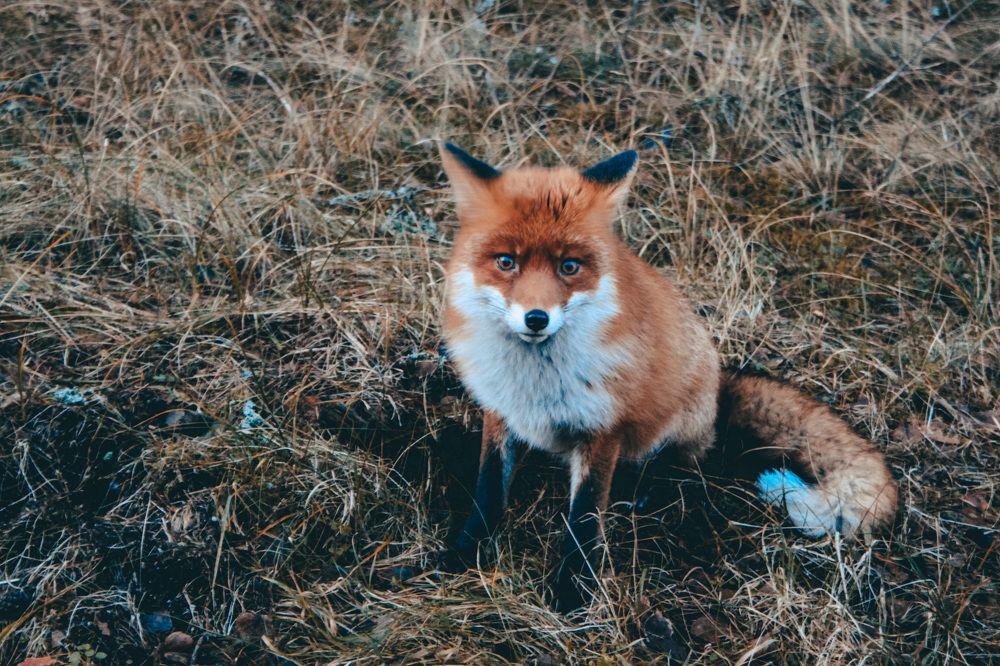 Photograph by Евгения Володина