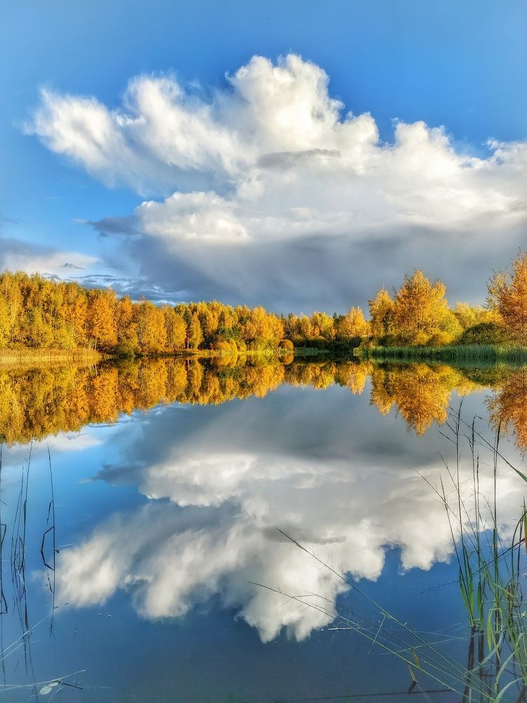 Photograph by Владимир Шаруба