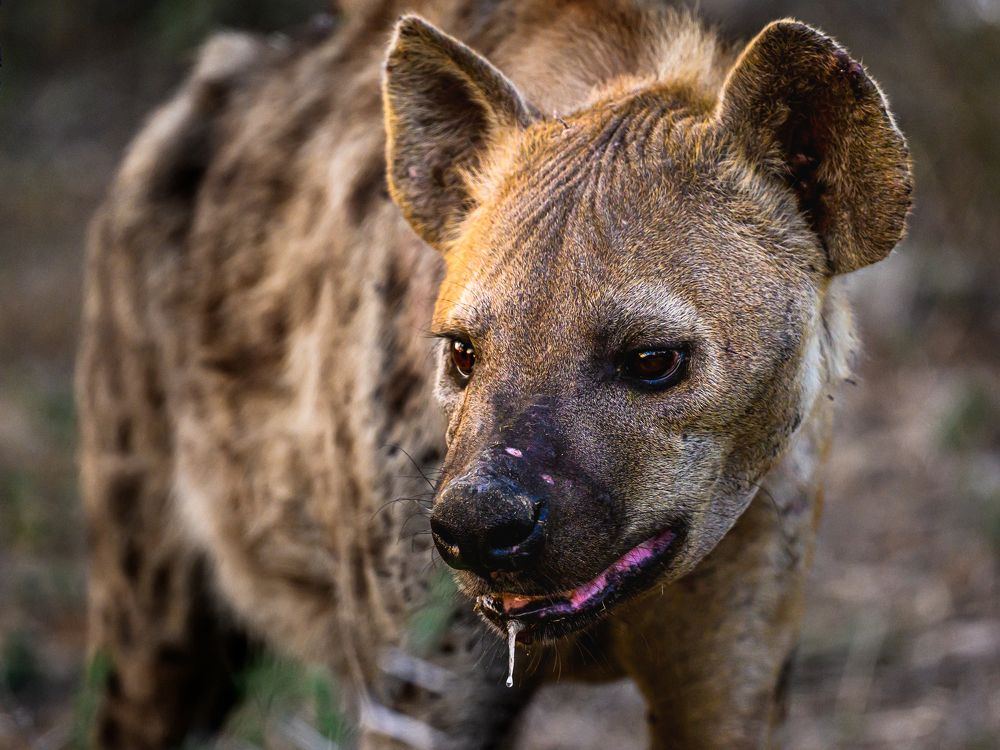 Photograph by Sergey Puponin