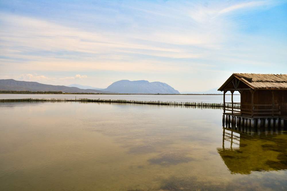 Photograph by Nick Mantelos