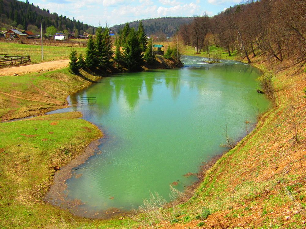Photograph by Георгий Могилевский