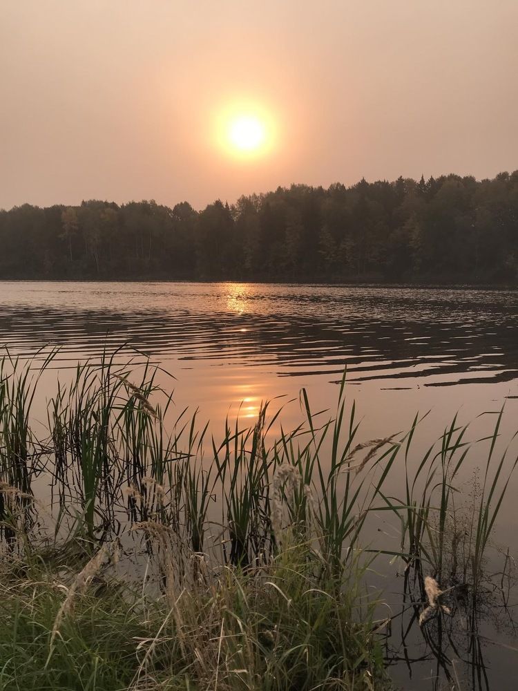 Photograph by Юлия