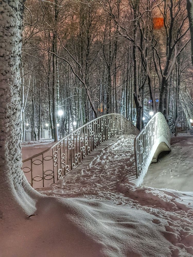 Photograph by Владимир Шаруба