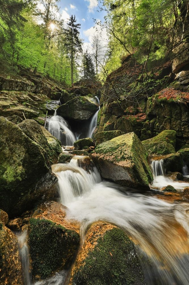 Фотография автора Michaela Vinterova