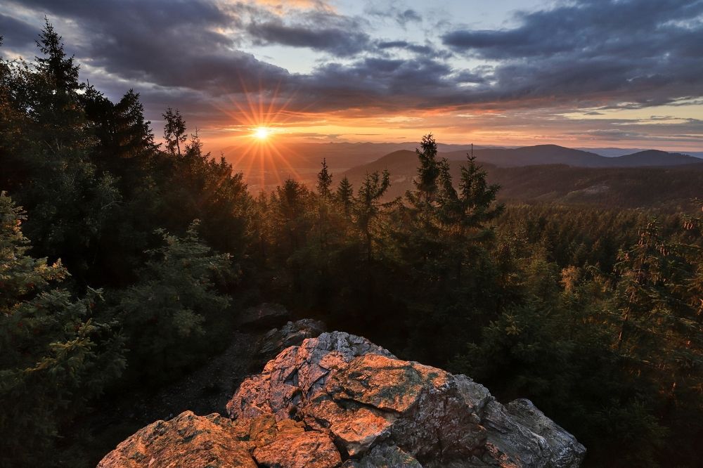 Фотография автора Michaela Vinterova