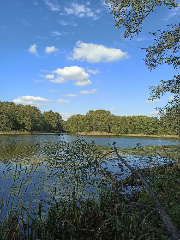 Photograph by Ирина Дегтярева