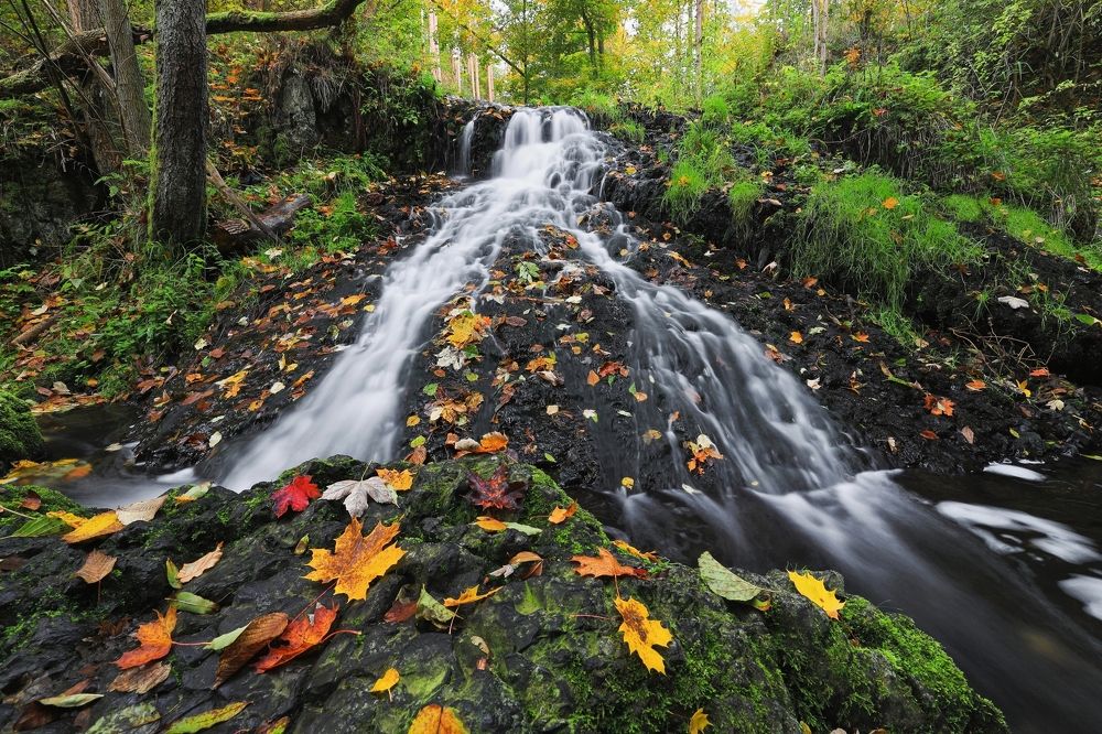 Фотография автора Michaela Vinterova