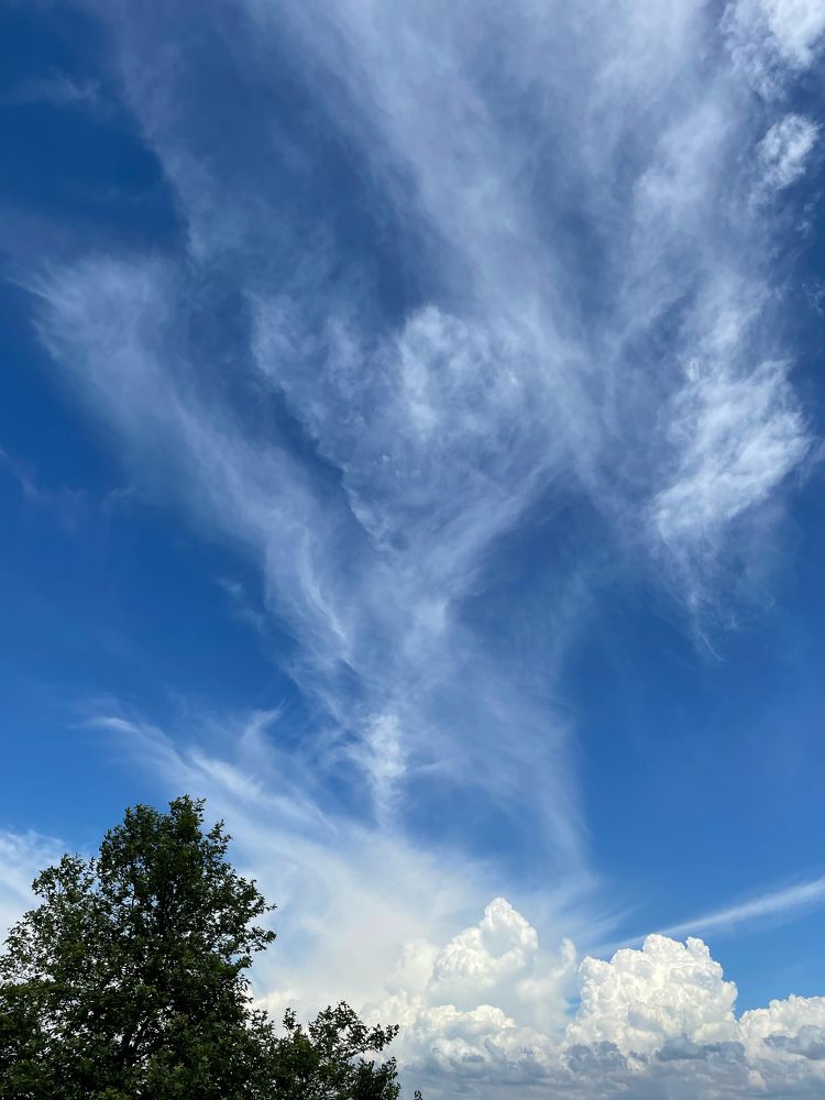 Photograph by Alexander Popov