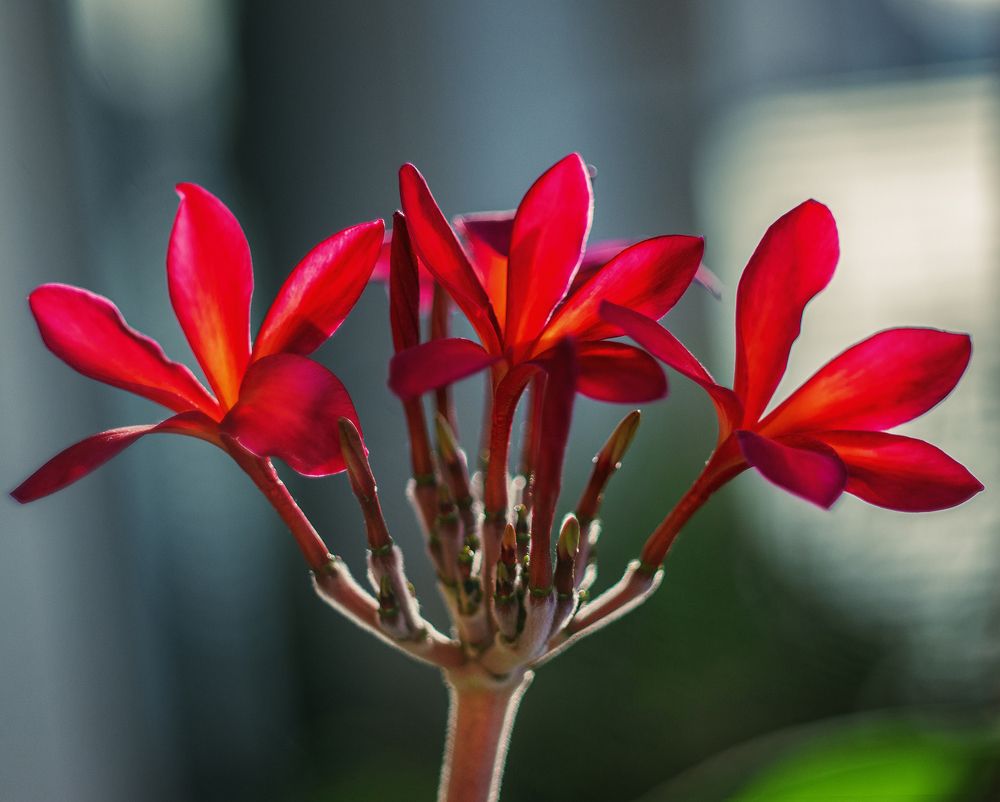 Photograph by Oxana Berezovskaya