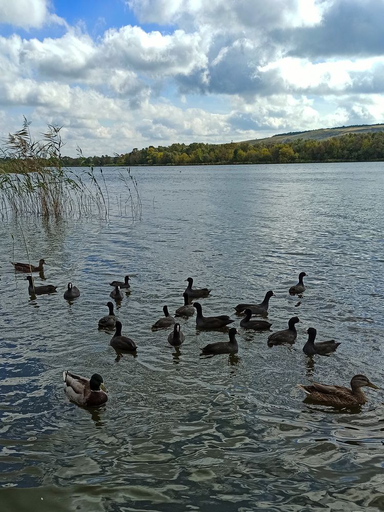 Photograph by Ирина Дегтярева