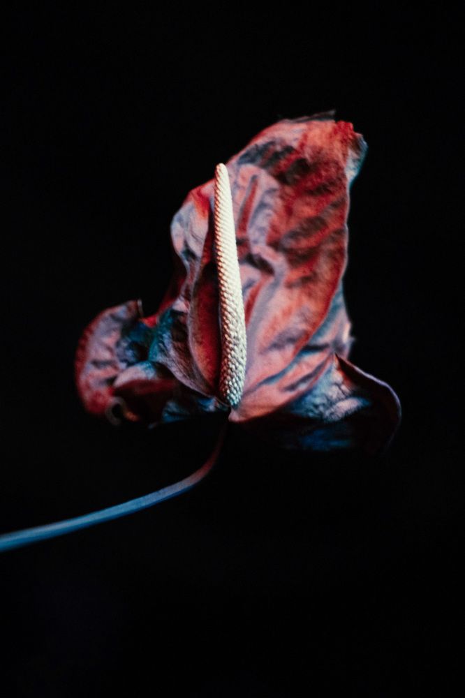 Photograph by Наталья Молоткова