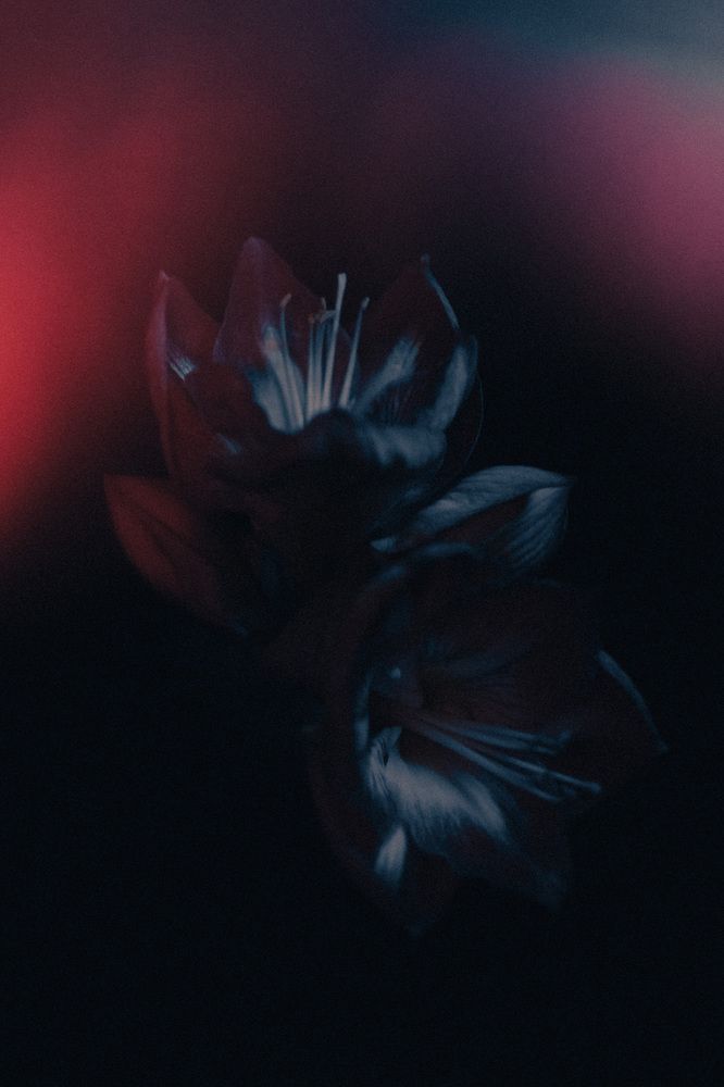 Photograph by Наталья Молоткова