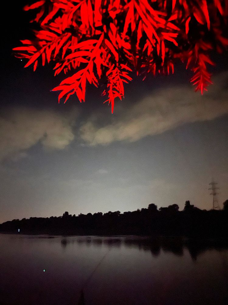 Photograph by Николай