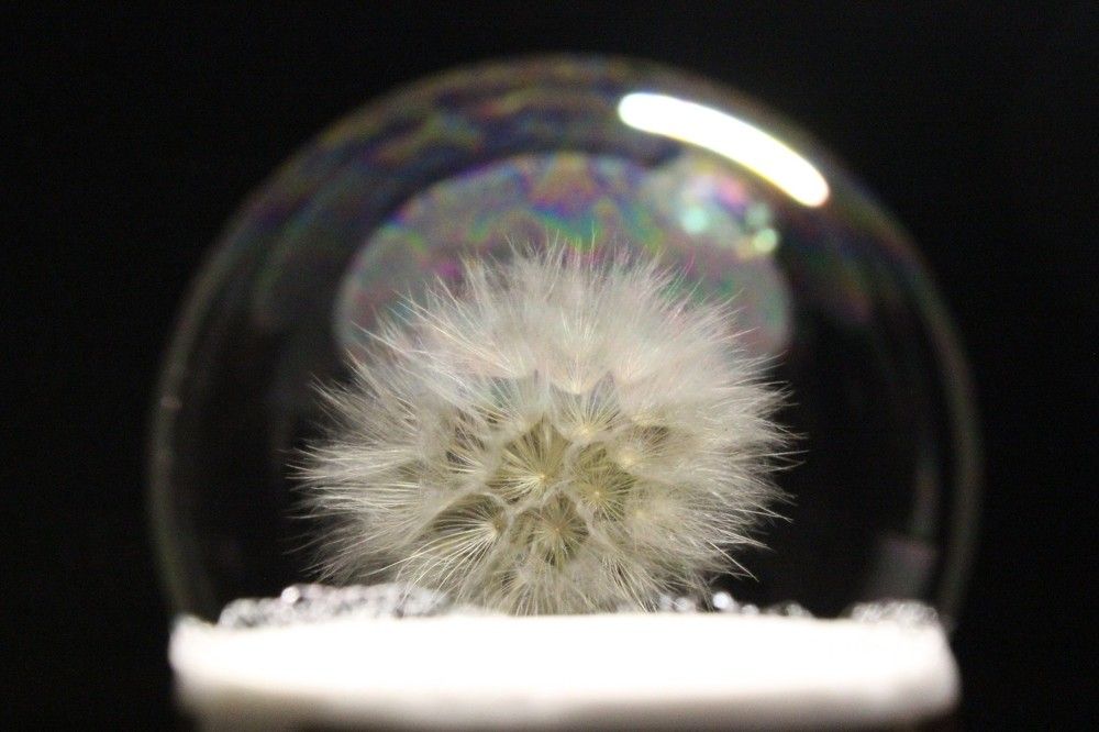 Фотография автора Mahdi Mohammadi