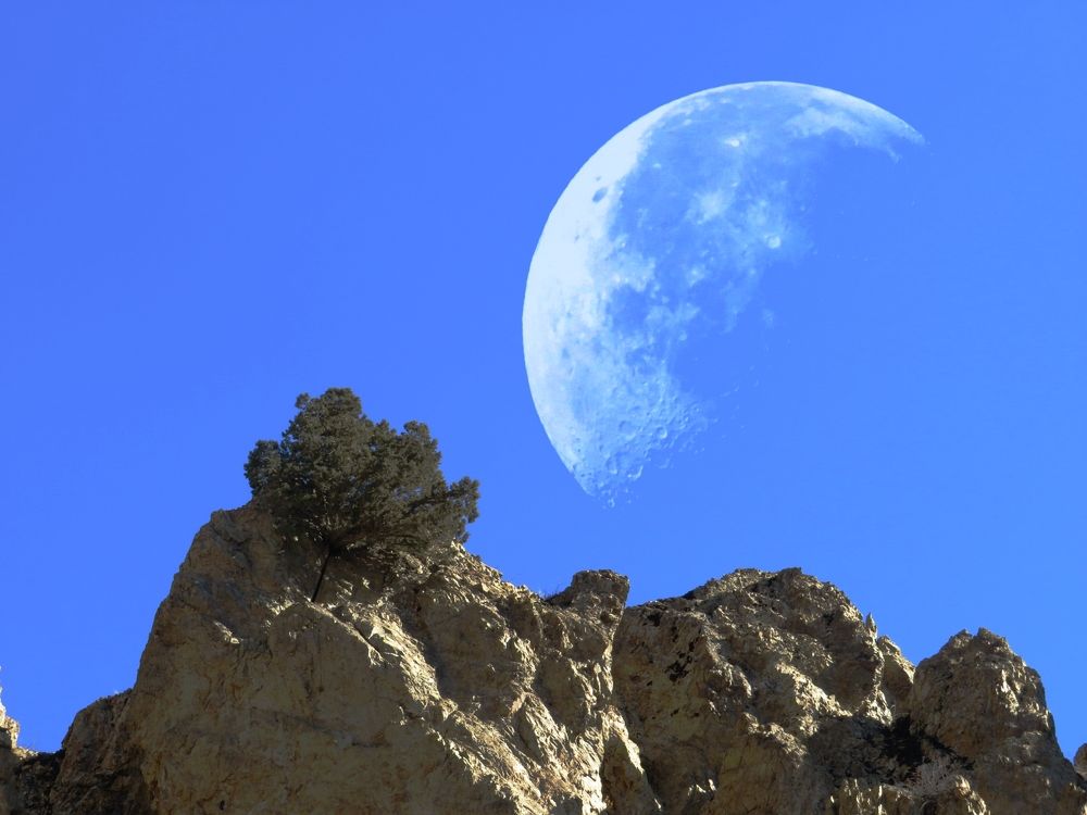 Фотография автора Mahdi Mohammadi