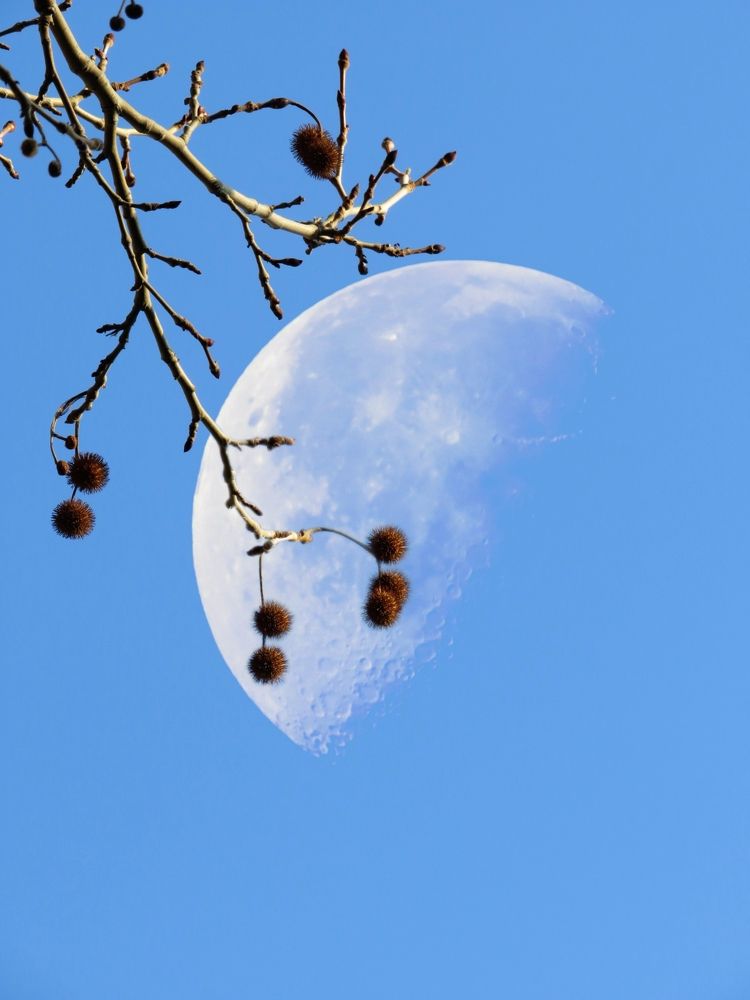 Фотография автора Mahdi Mohammadi