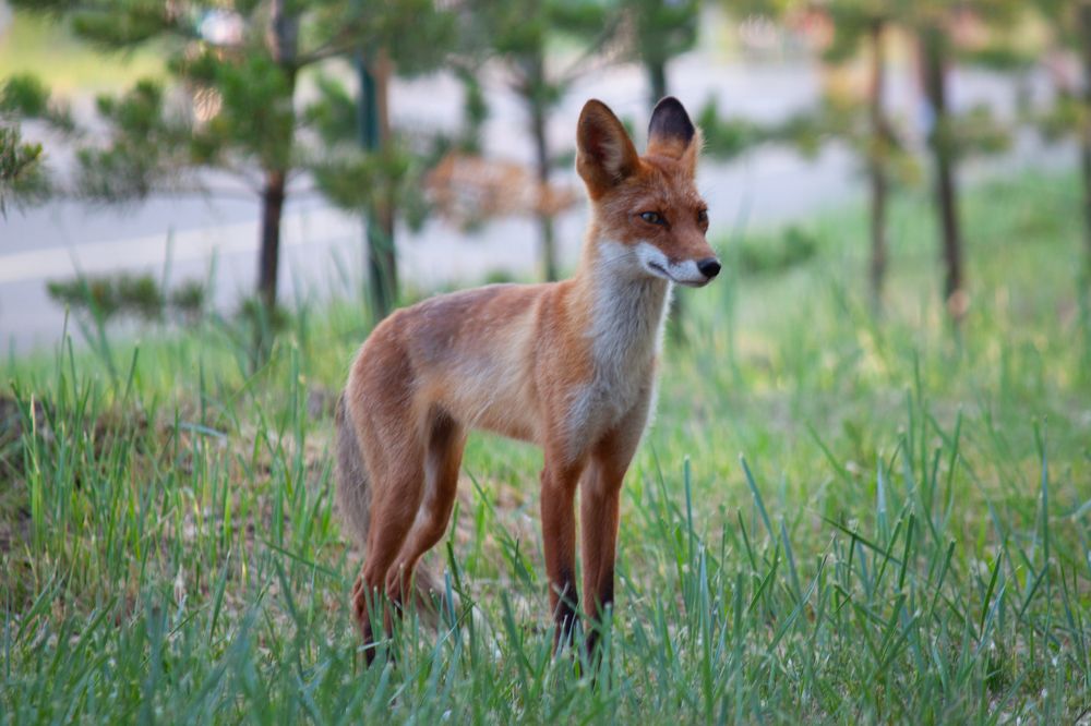 Photograph by Корчагина Оксана