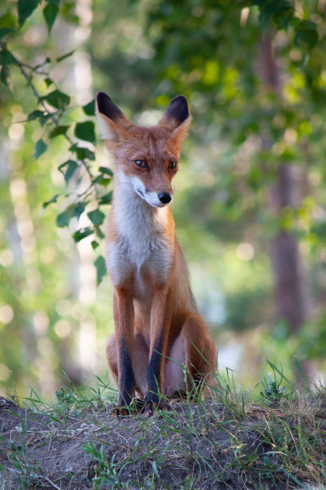 Photograph by Корчагина Оксана