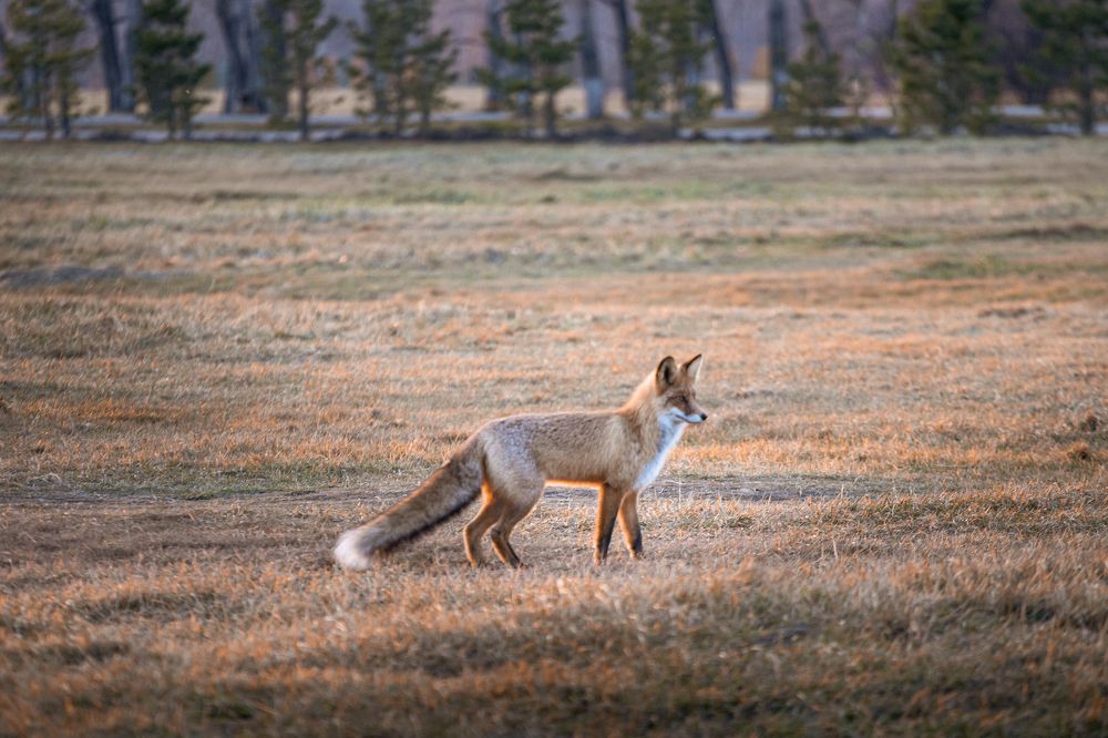 Photograph by Корчагина Оксана