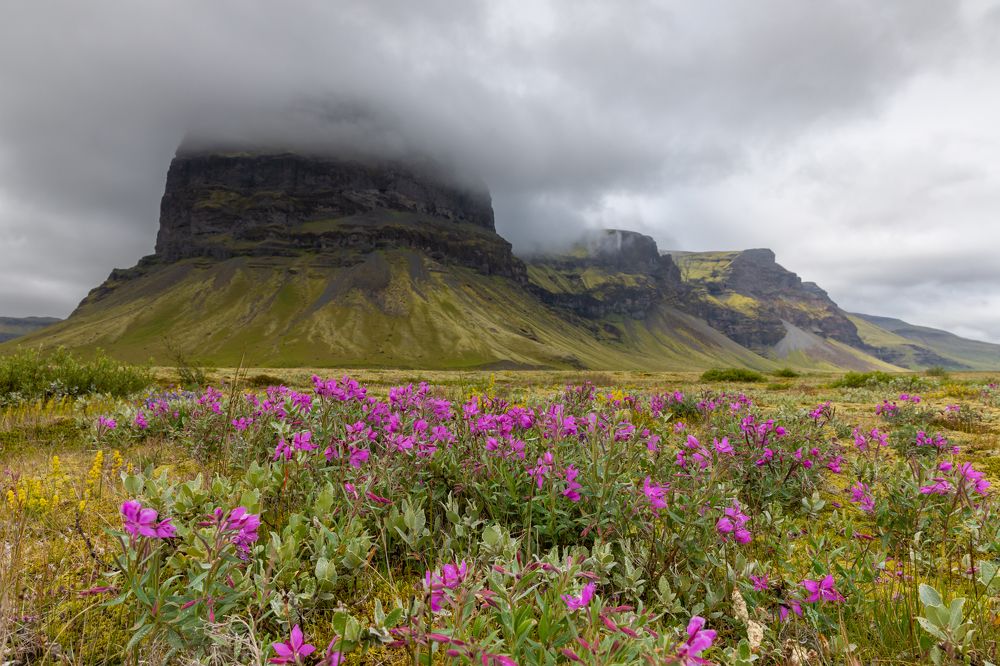Photograph by Евгения Чех