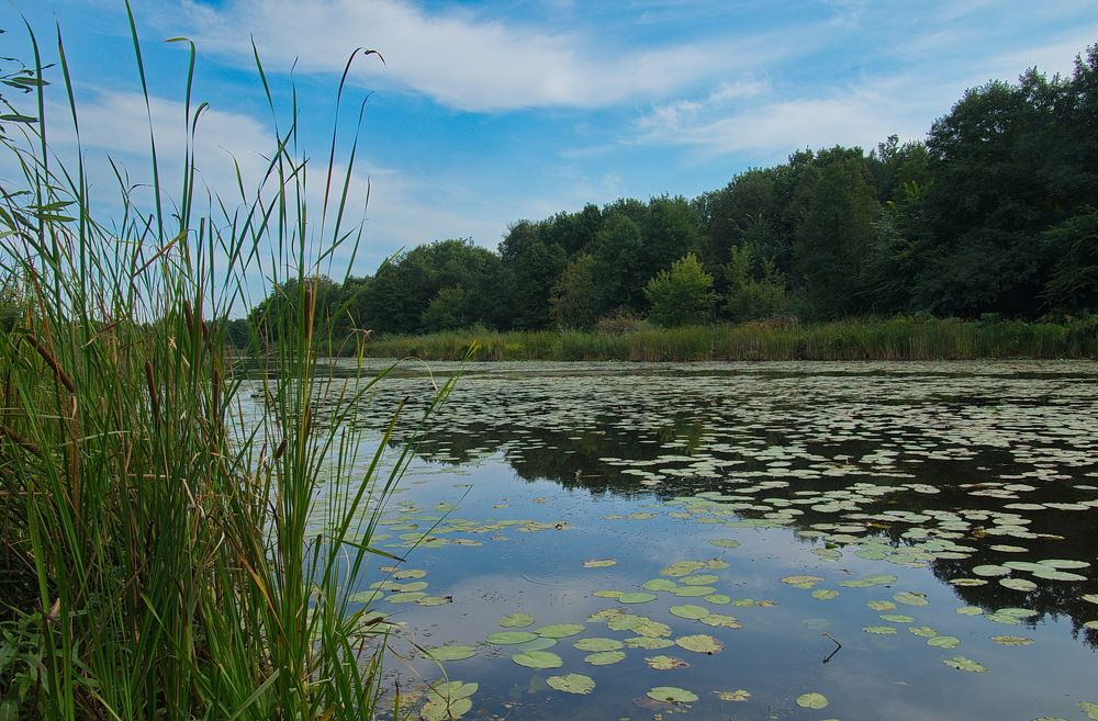 Photograph by Василий Быстрицкий