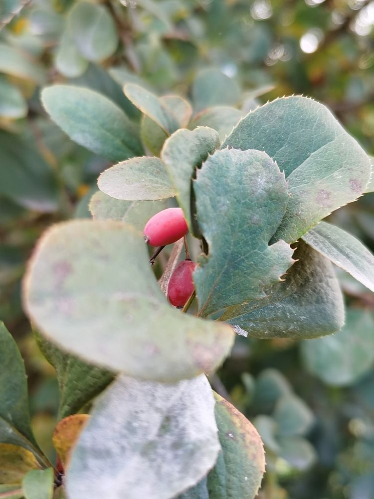 Photograph by Виталий Кореньков