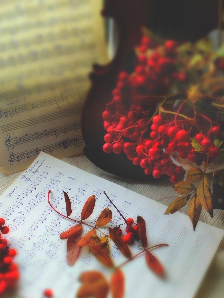 Photograph by Алеся Цеван