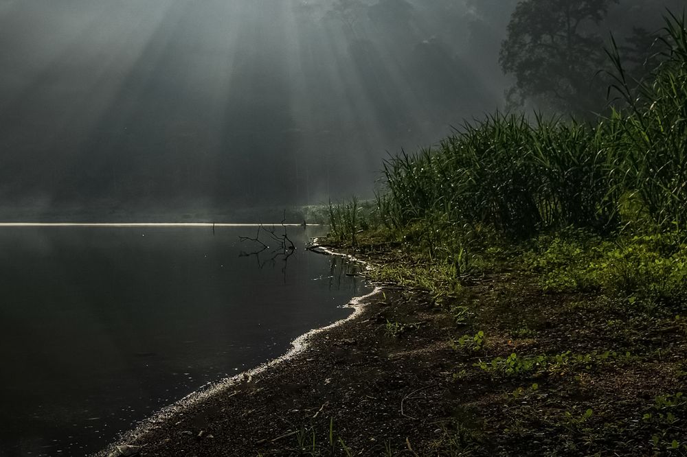 Misty morning at Bedali Lake