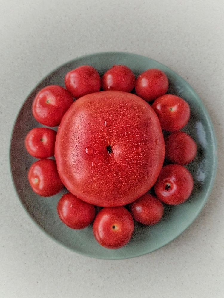 Синьор Помидор.